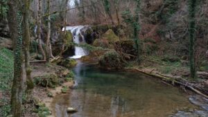 IMG_20240303_113442