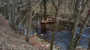 IMG_20240303_121728